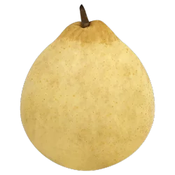 Pear - Yali