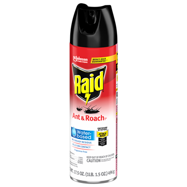 slide 1 of 1, Raid Ant & Roach Water-Based, 17.5 oz