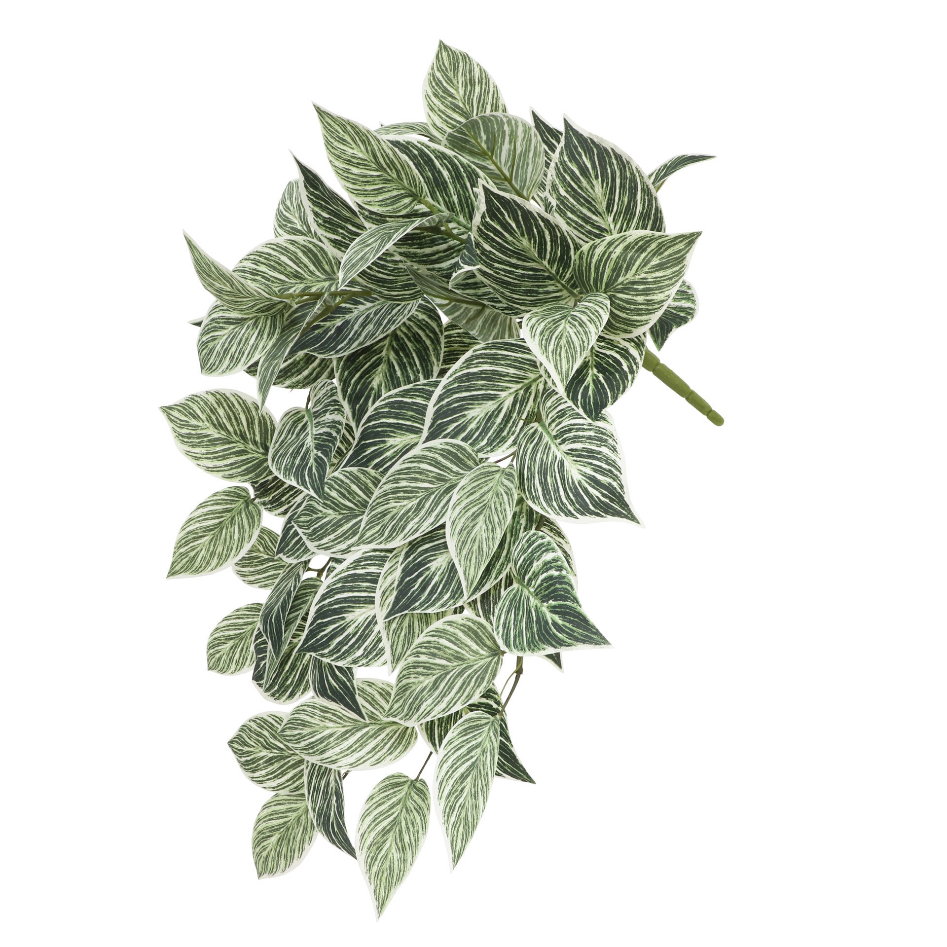 slide 2 of 3, 23" Philodendron Birkin Hanging Bush By Ashland, 13 in x 9 in x 23 in