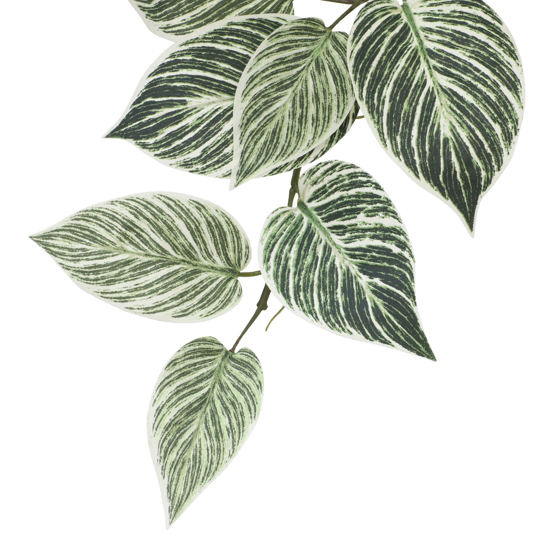 slide 3 of 3, 23" Philodendron Birkin Hanging Bush By Ashland, 13 in x 9 in x 23 in