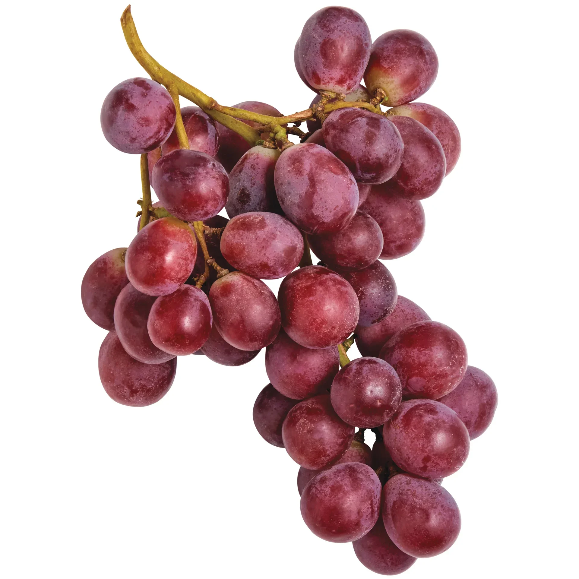 slide 1 of 1, Fresh Seeded Red Grapes, 1 ct