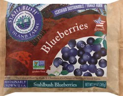 Stahlbush Island Farms Blueberries 10 oz