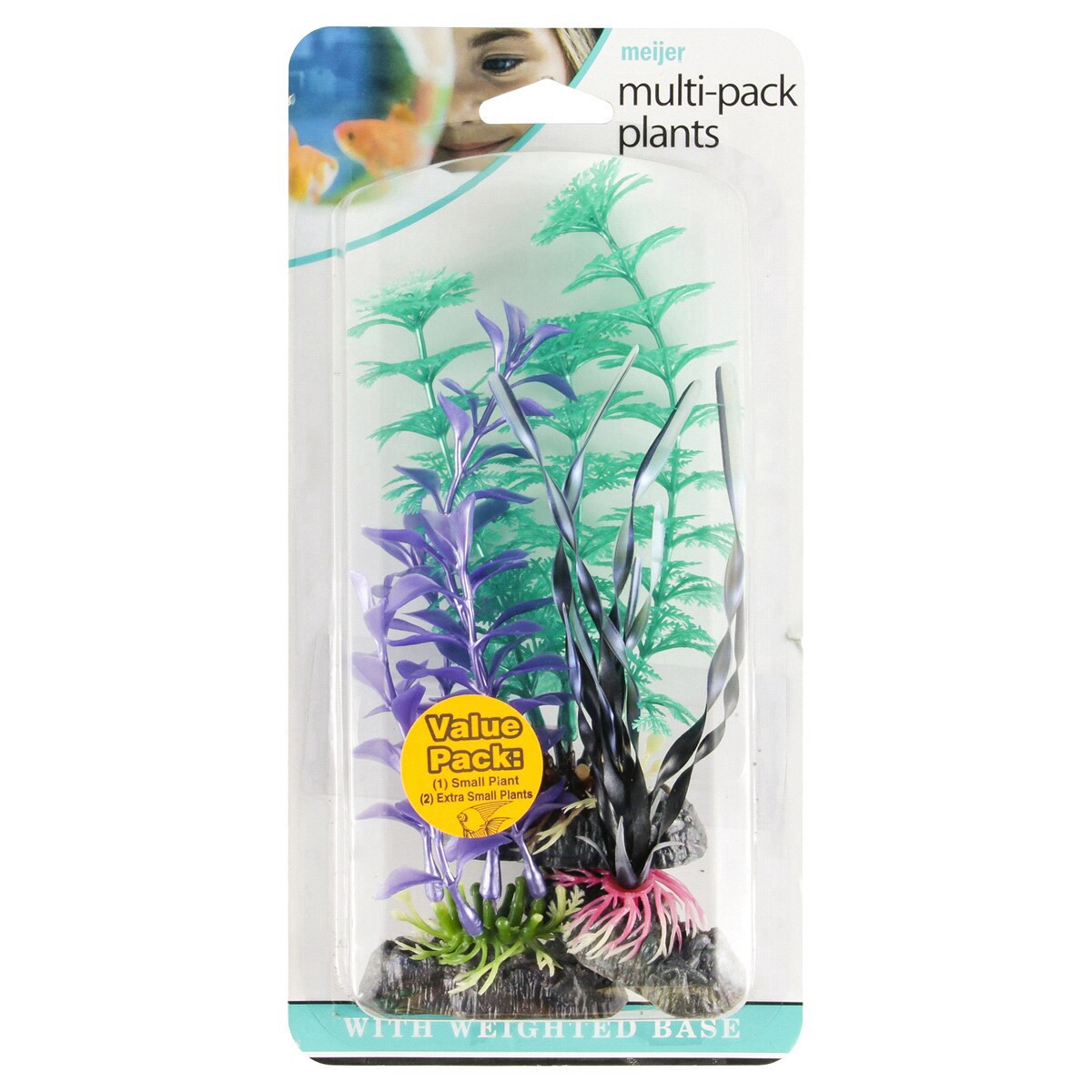slide 1 of 5, Meijer Multi-Pack Plants, 1 small and 2 extra small, 1 ct