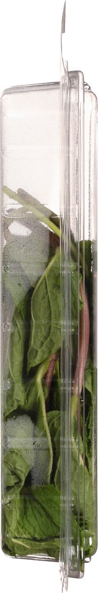 slide 11 of 11, Lunds & Byerlys Fresh Herbs Organic Mint 0.75 oz, 0.75 oz