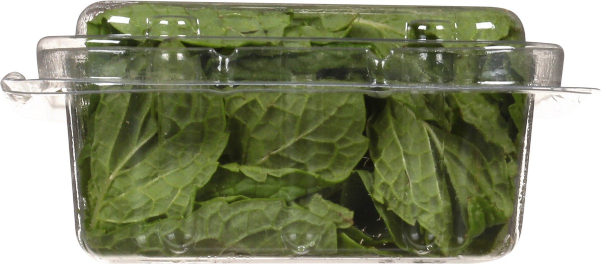slide 3 of 11, Lunds & Byerlys Fresh Herbs Organic Mint 0.75 oz, 0.75 oz