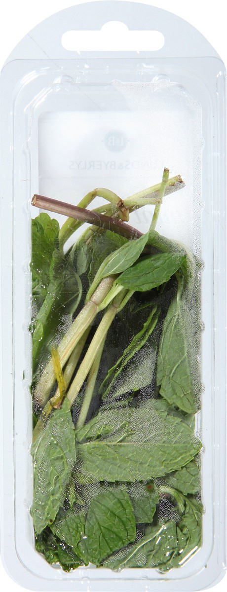 slide 8 of 11, Lunds & Byerlys Fresh Herbs Organic Mint 0.75 oz, 0.75 oz