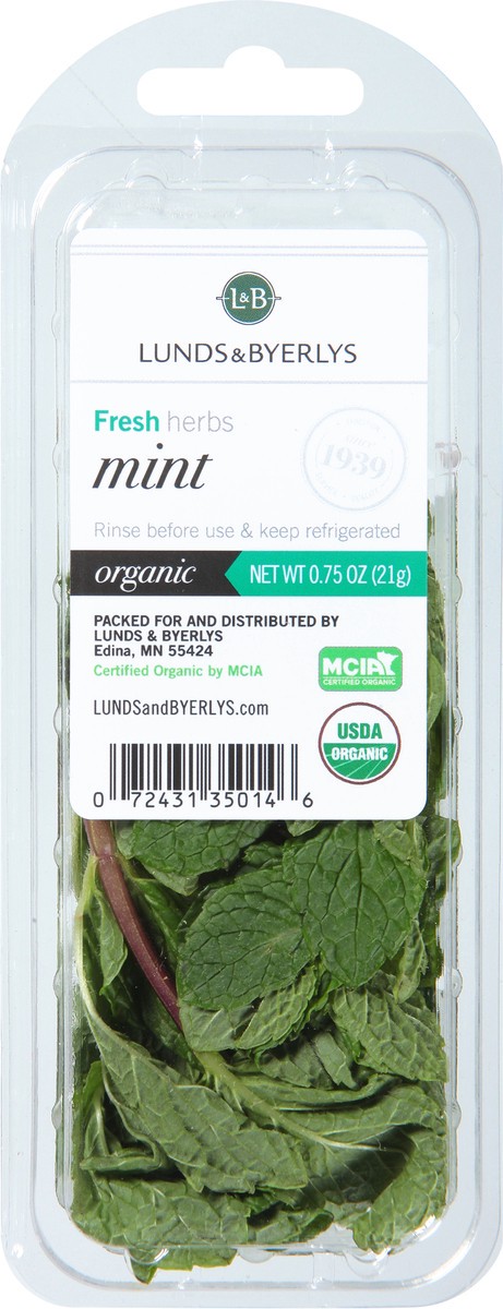 slide 6 of 11, Lunds & Byerlys Fresh Herbs Organic Mint 0.75 oz, 0.75 oz