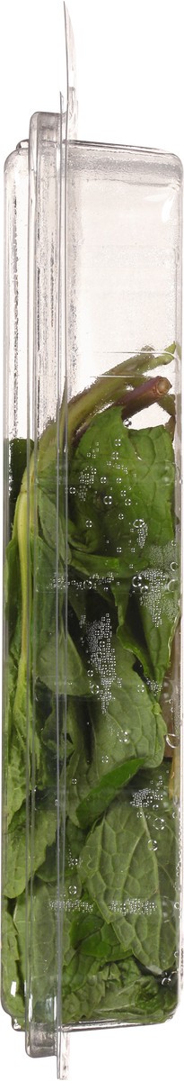 slide 10 of 11, Lunds & Byerlys Fresh Herbs Organic Mint 0.75 oz, 0.75 oz