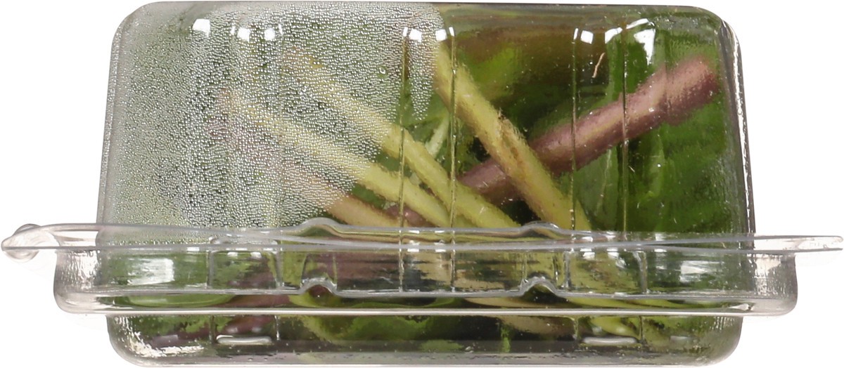 slide 2 of 11, Lunds & Byerlys Fresh Herbs Organic Mint 0.75 oz, 0.75 oz