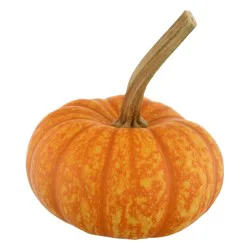 Long Stemmed Sparkler Pumpkin Ornamental