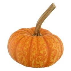 Long Stemmed Sparkler Pumpkin Ornamental