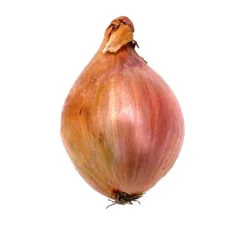 Shallots