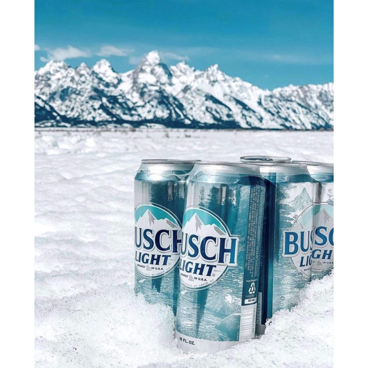 slide 70 of 96, Busch Beer, 12 fl oz
