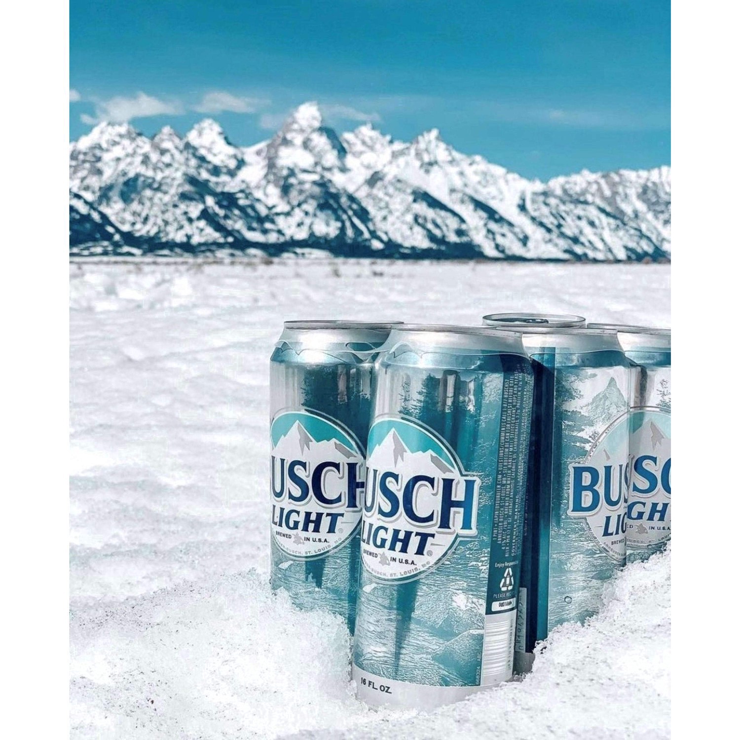slide 70 of 96, Busch Beer, 30 Pack 12 fl. oz. Cans, 4.1% ABV, 30 ct; 12 fl oz