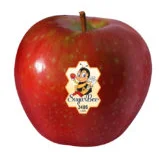Sugarbee Apples