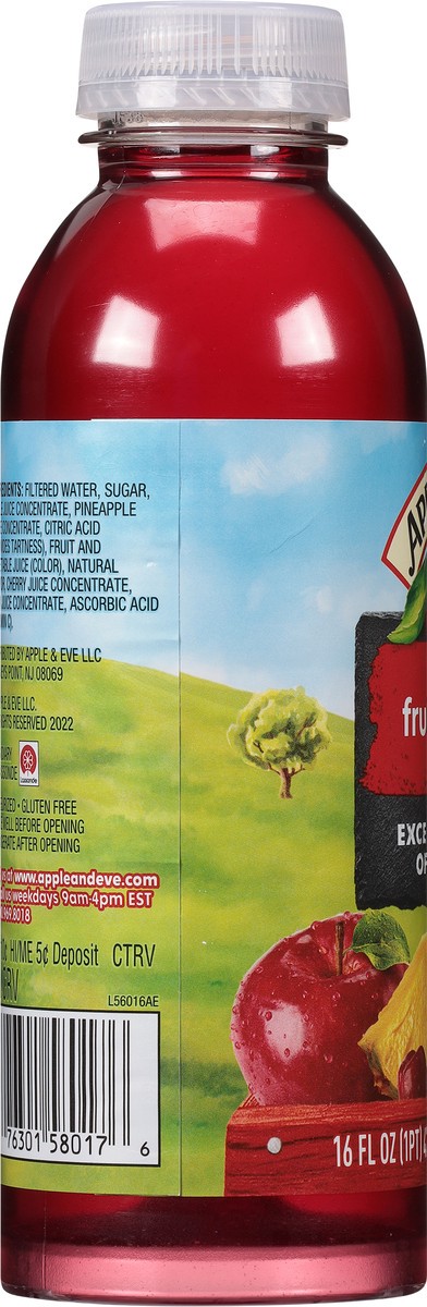 slide 2 of 9, Apple & Eve Fruit Punch Cocktail - 16 fl oz, 16 fl oz