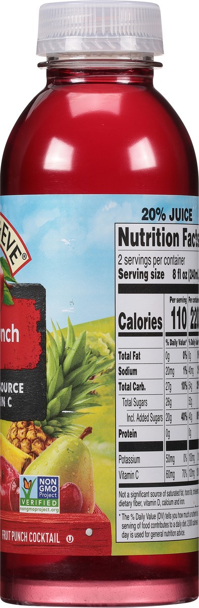 slide 4 of 9, Apple & Eve Fruit Punch Cocktail - 16 fl oz, 16 fl oz