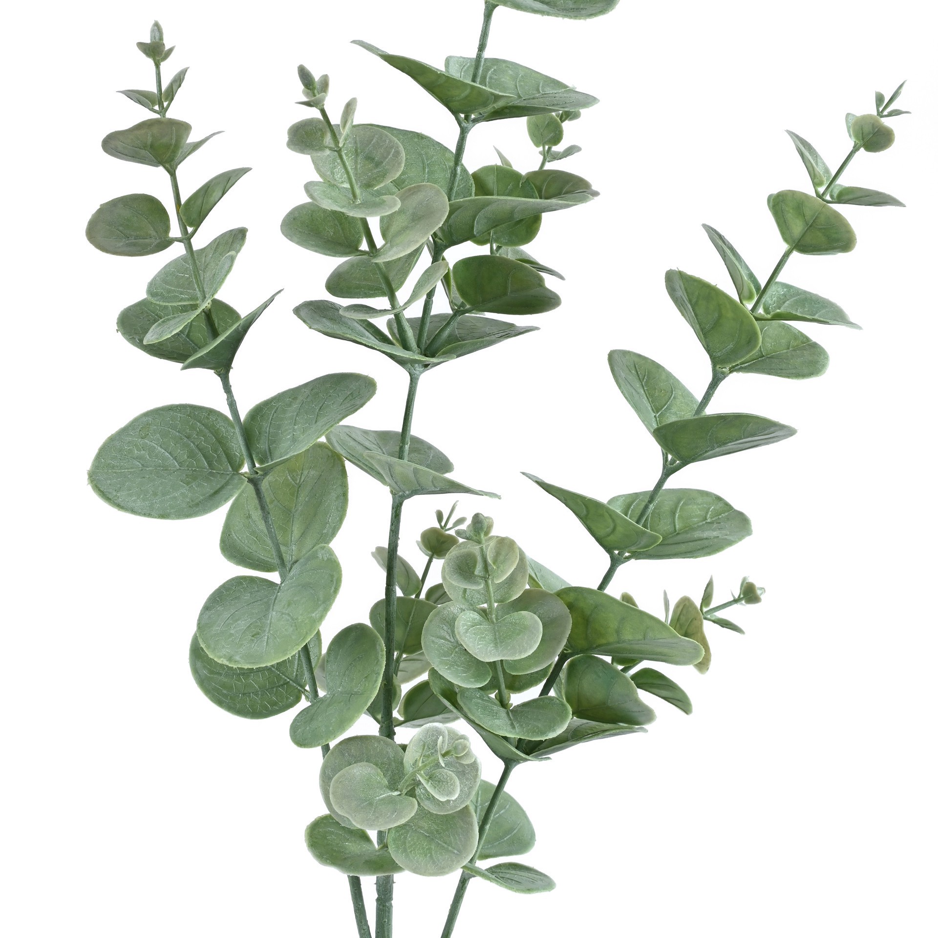 slide 2 of 2, 32" Light Green Eucalyptus Stem By Ashland, 32 in