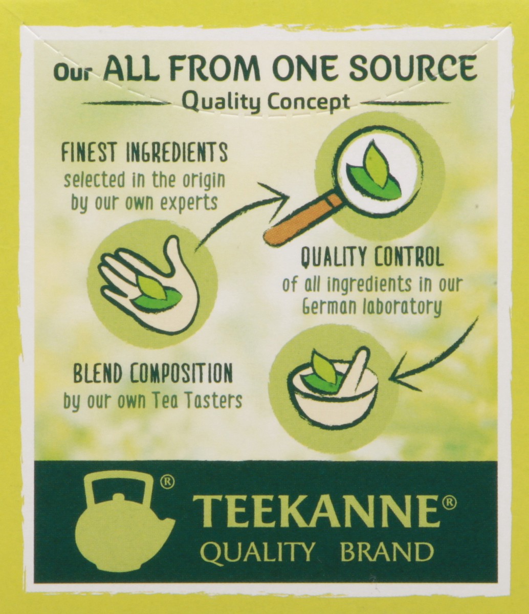 slide 6 of 14, Teekanne Fennel Tea, 20 ct; 1.41 oz