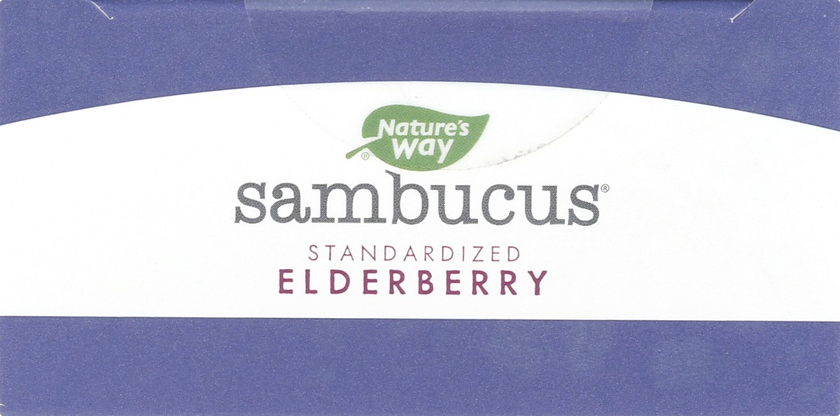 slide 3 of 12, Nature's Way Sambucus Honey Lemon-Berry Flavored Hot Drink Mix 10 ea, 10 ct