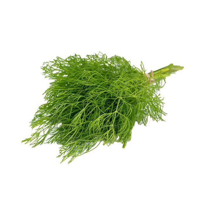 slide 1 of 1, Herbco Dill, 0.75 oz