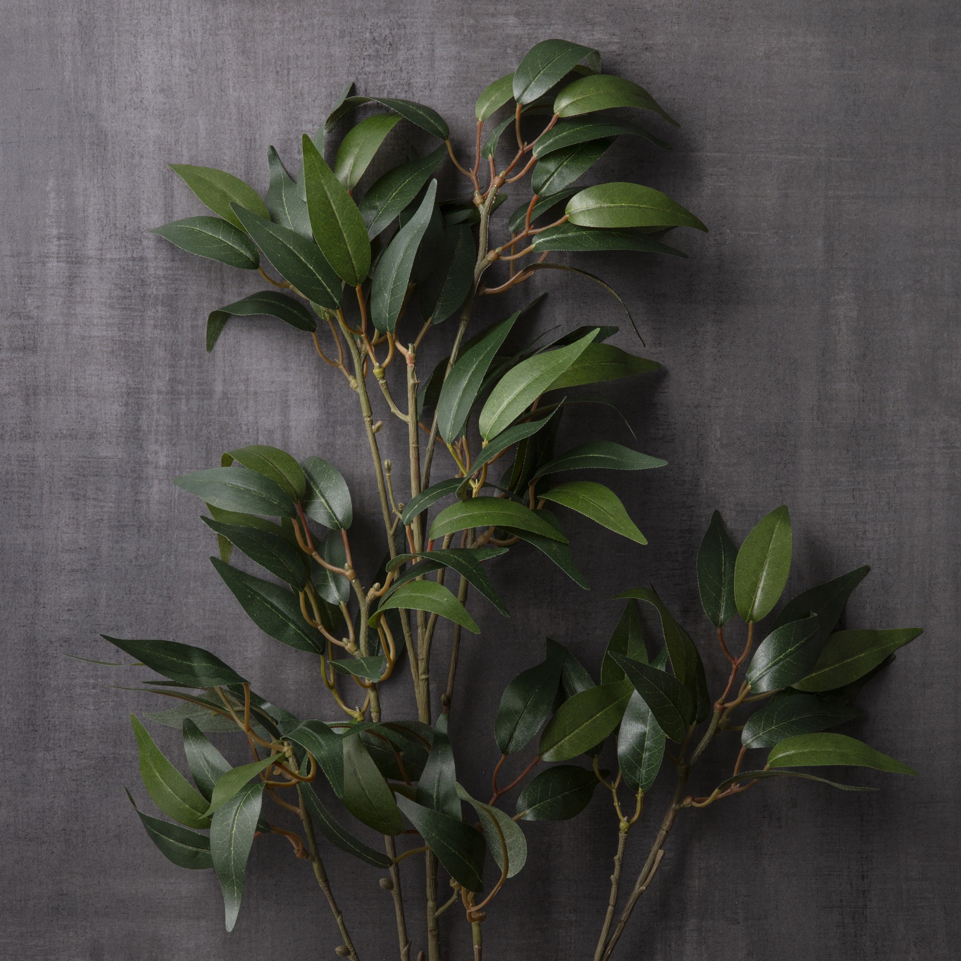 slide 3 of 3, Osmanthus Stem By Ashland, 34 in