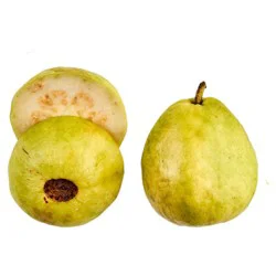 Fresh Guava