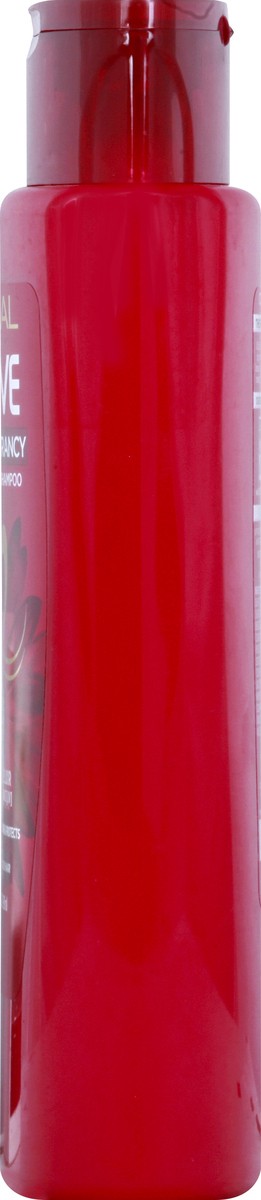 slide 3 of 12, L'Oréal Shampoo 20 oz, 20 oz