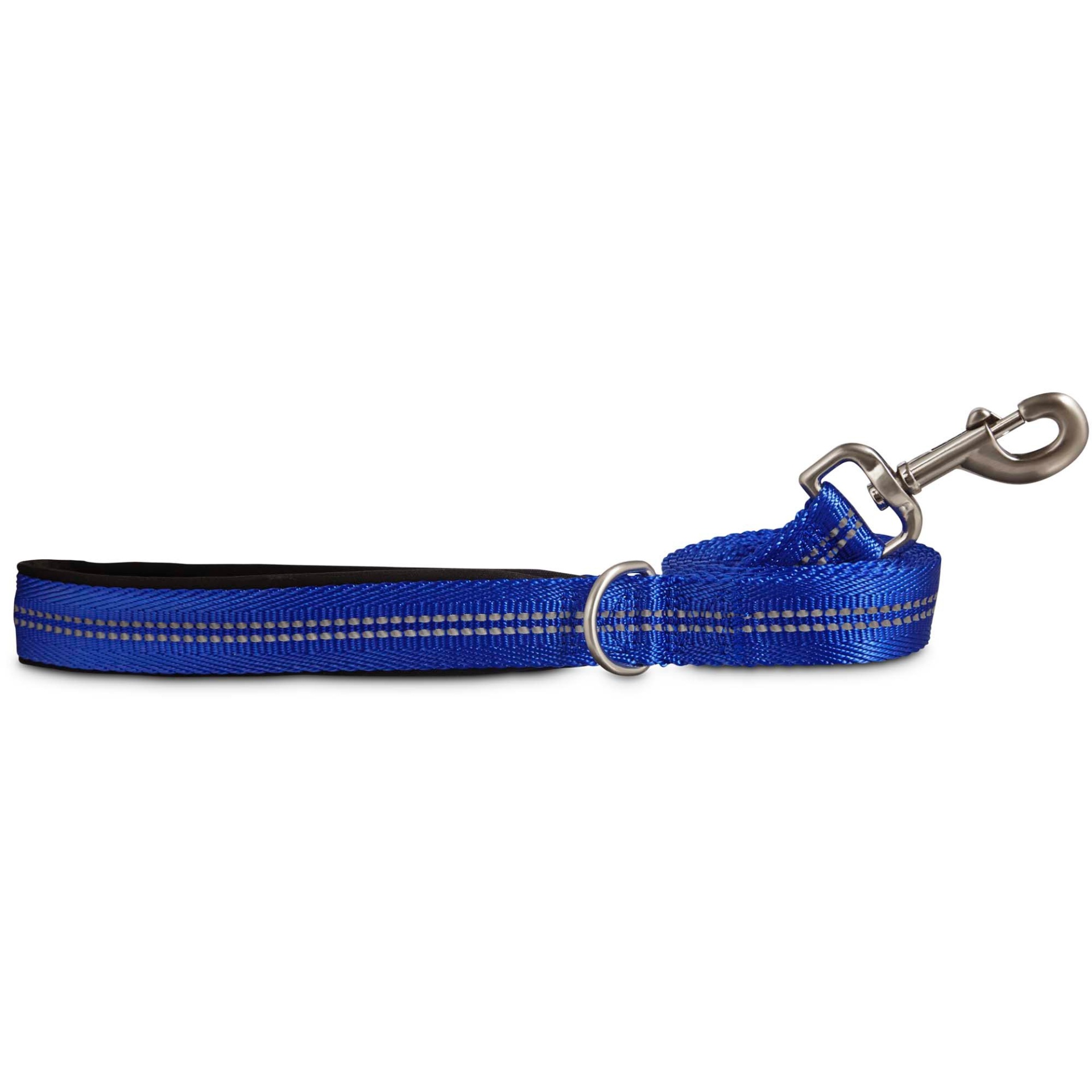 slide 1 of 1, Good2Go Reflective Leash in Blue, 1 ct