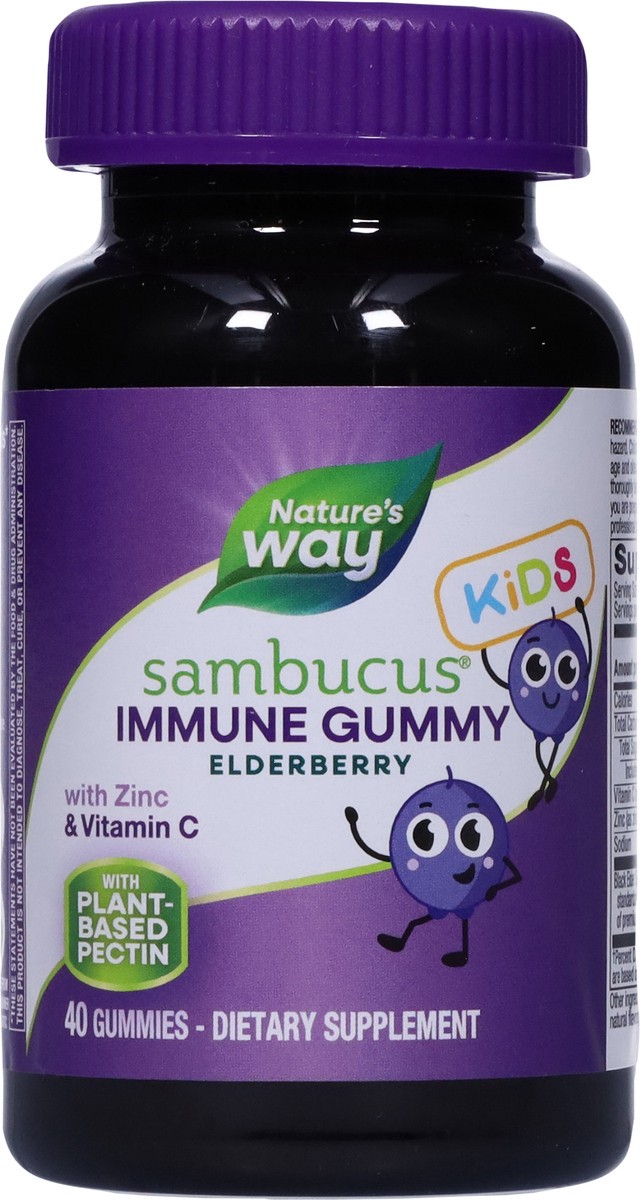 slide 4 of 9, Nature's Way Kids Immune Gummy Elderberry Sambucus 40 Gummies, 40 ct