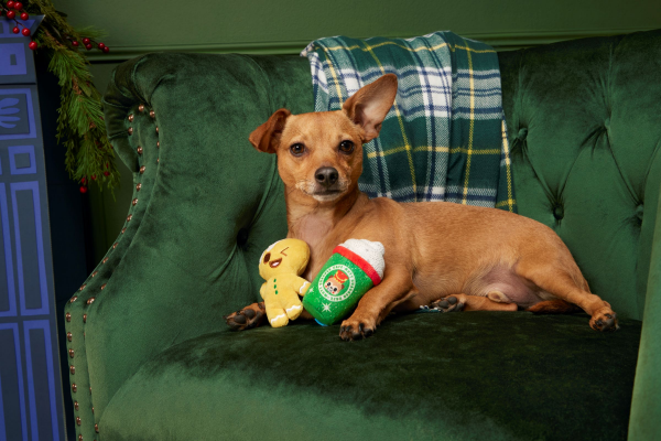 slide 2 of 5, BARK Ginger Boy Brew Christmas gingerbread coffee plush dog toy XS/S, 1 ct