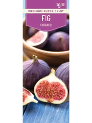Fig Chicago 1 ct