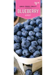 Blueberry Jersey 1ct