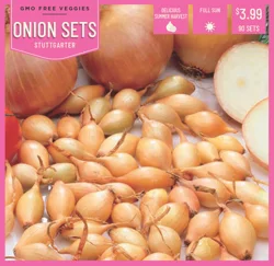 Stuttgarter Onion Sets - 90 ct