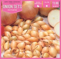 Stuttgarter Onion Sets - 90 ct
