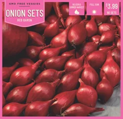 Onion Sets Red Baron 90ct
