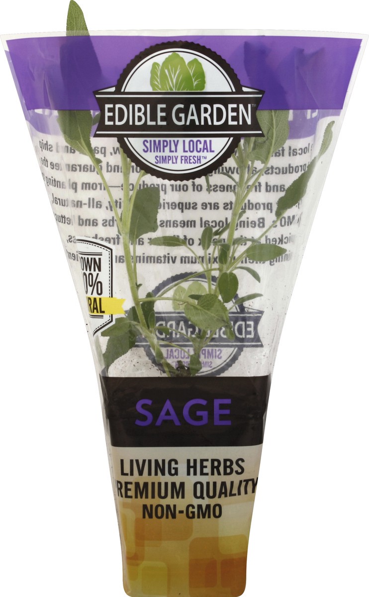 slide 2 of 2, Edible Garden 4" Potted Sage, 4 in