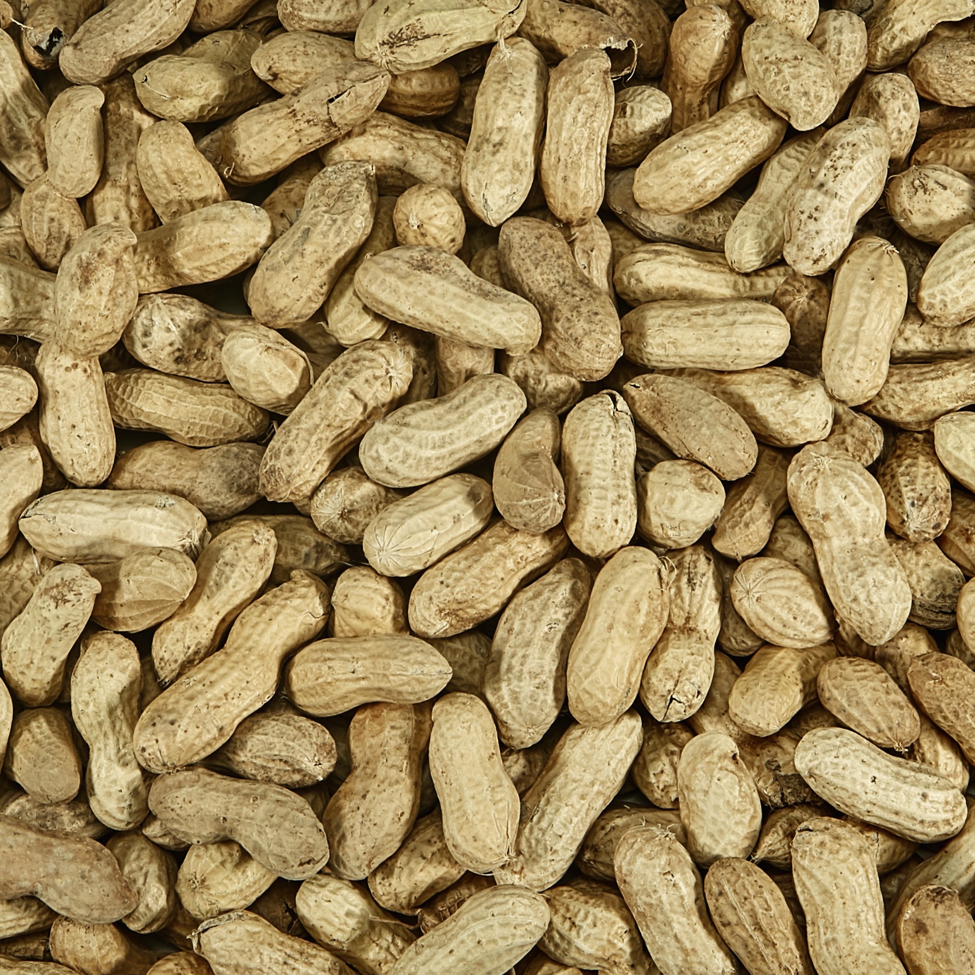 slide 9 of 9, Kaytee Peanuts In A Shell 5 Pounds, 1 ct