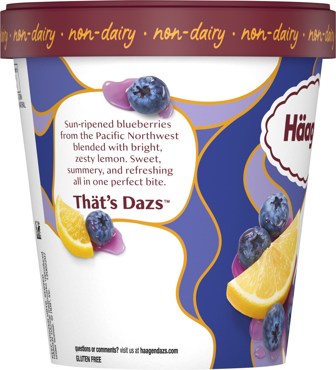 slide 12 of 13, Häagen-Dazs Summer Blueberry & Lemon Sorbet 14 fl oz, 14 fl oz