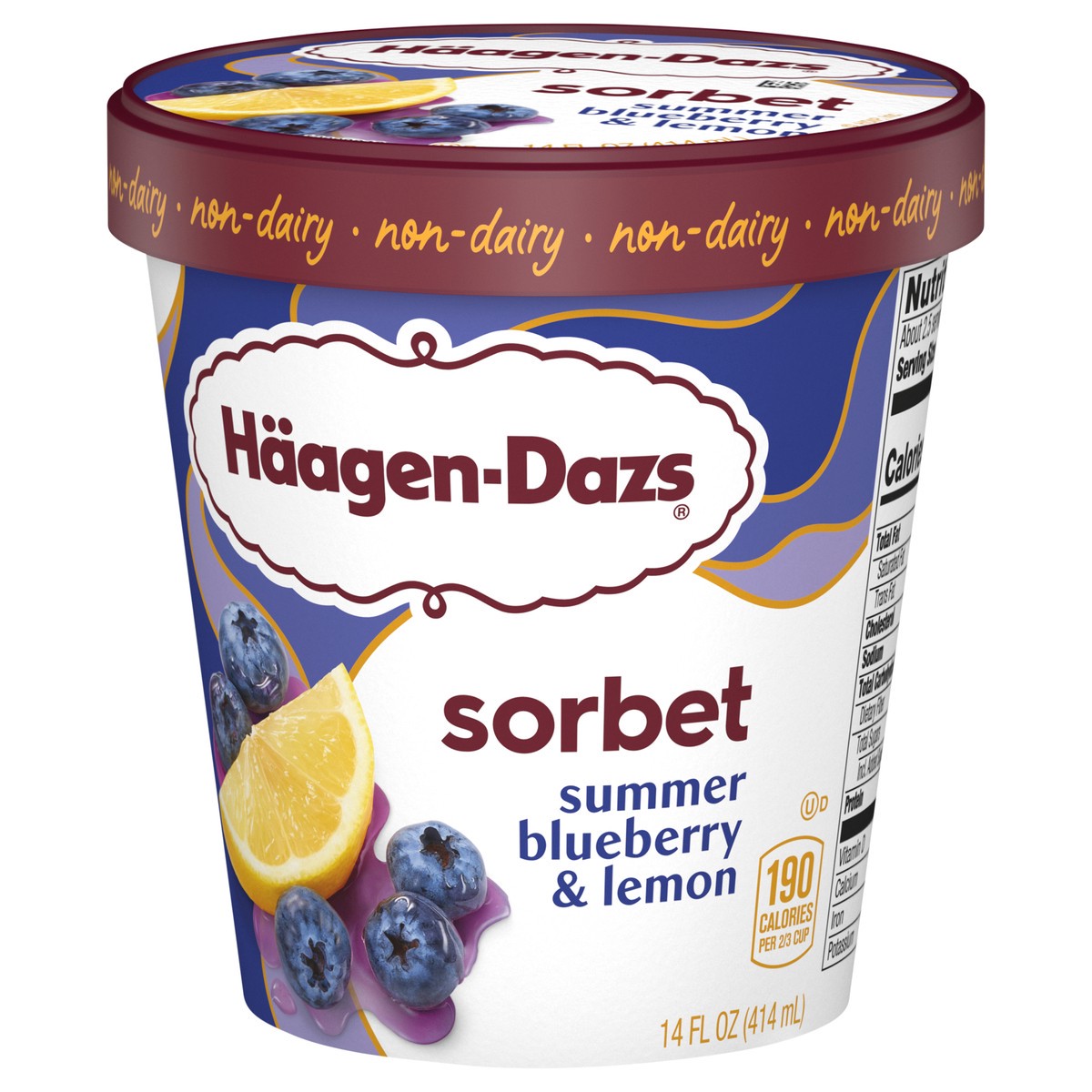slide 10 of 13, Häagen-Dazs Summer Blueberry & Lemon Sorbet 14 fl oz, 14 fl oz