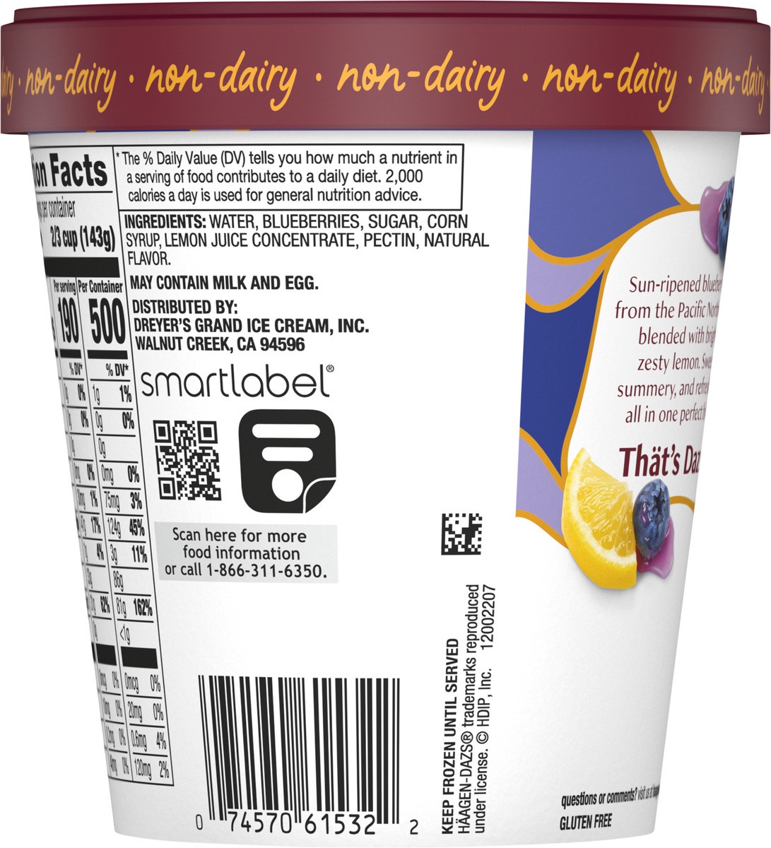 slide 8 of 13, Häagen-Dazs Summer Blueberry & Lemon Sorbet 14 fl oz, 14 fl oz