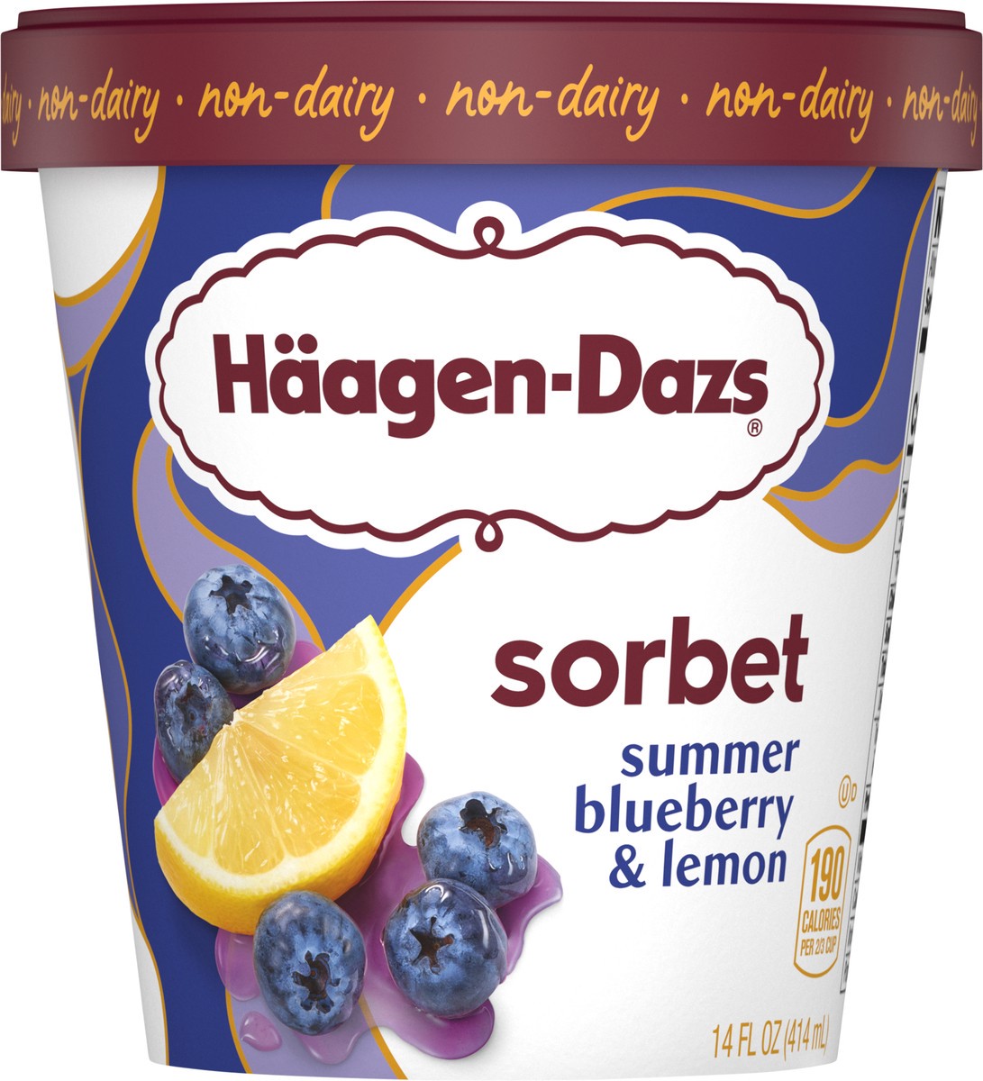 slide 11 of 13, Häagen-Dazs Summer Blueberry & Lemon Sorbet 14 fl oz, 14 fl oz