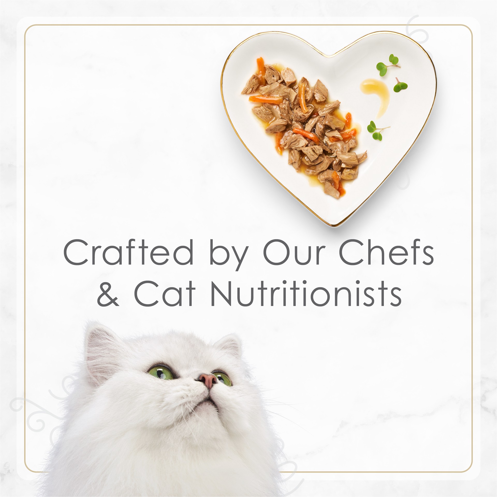 slide 6 of 7, Fancy Feast Purina Fancy Feast Gourmet Gravy Wet Cat Food, Petites Tender Beef With Carrots Entree - 2.8 oz. Tub, 2 ct