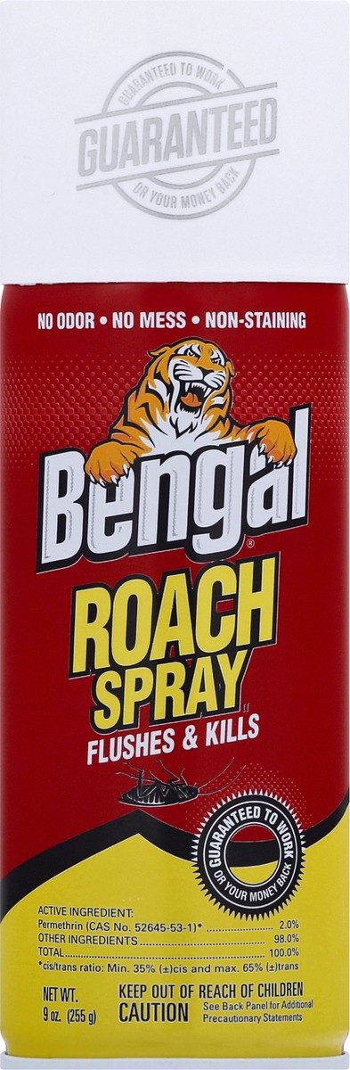 slide 11 of 12, Bengal Roach Spray 9 oz, 9 oz