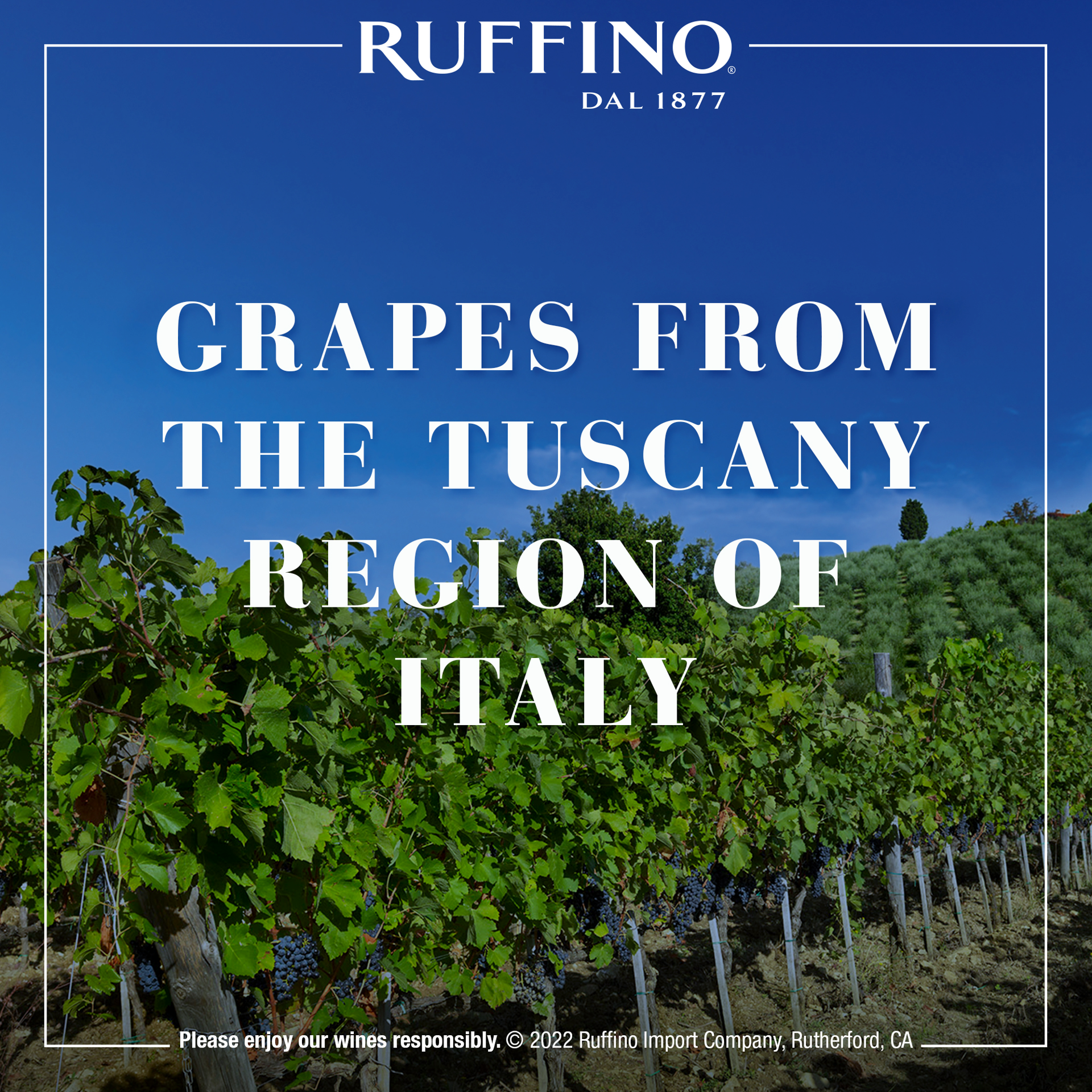 slide 4 of 10, Ruffino Modus Toscana IGT, Italian Red Wine, 375 mL Half Bottle, 12.68 fl oz