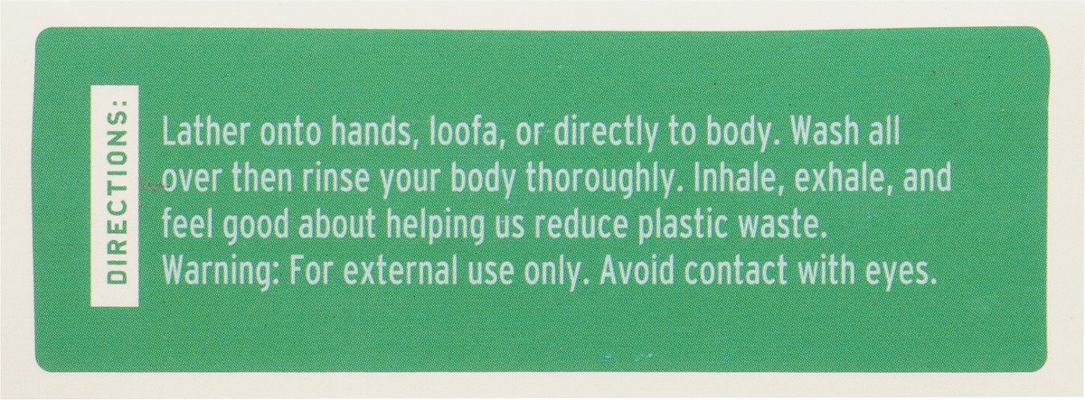 slide 4 of 12, Brixy Mint Eucalyptus Body Wash Bar 4 oz, 4 oz