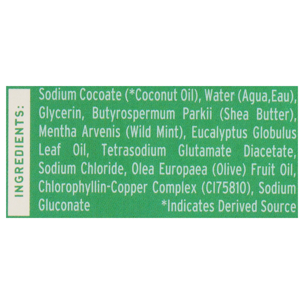 slide 9 of 12, Brixy Mint Eucalyptus Body Wash Bar 4 oz, 4 oz