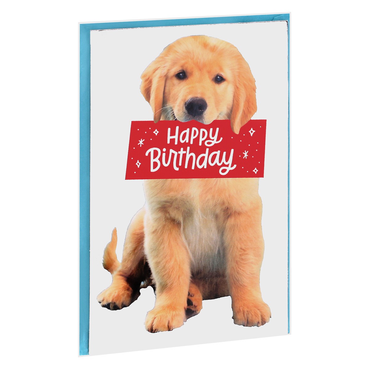 slide 3 of 9, Carlton Cards American Greetings Puppy Birthday Card, 1 ct
