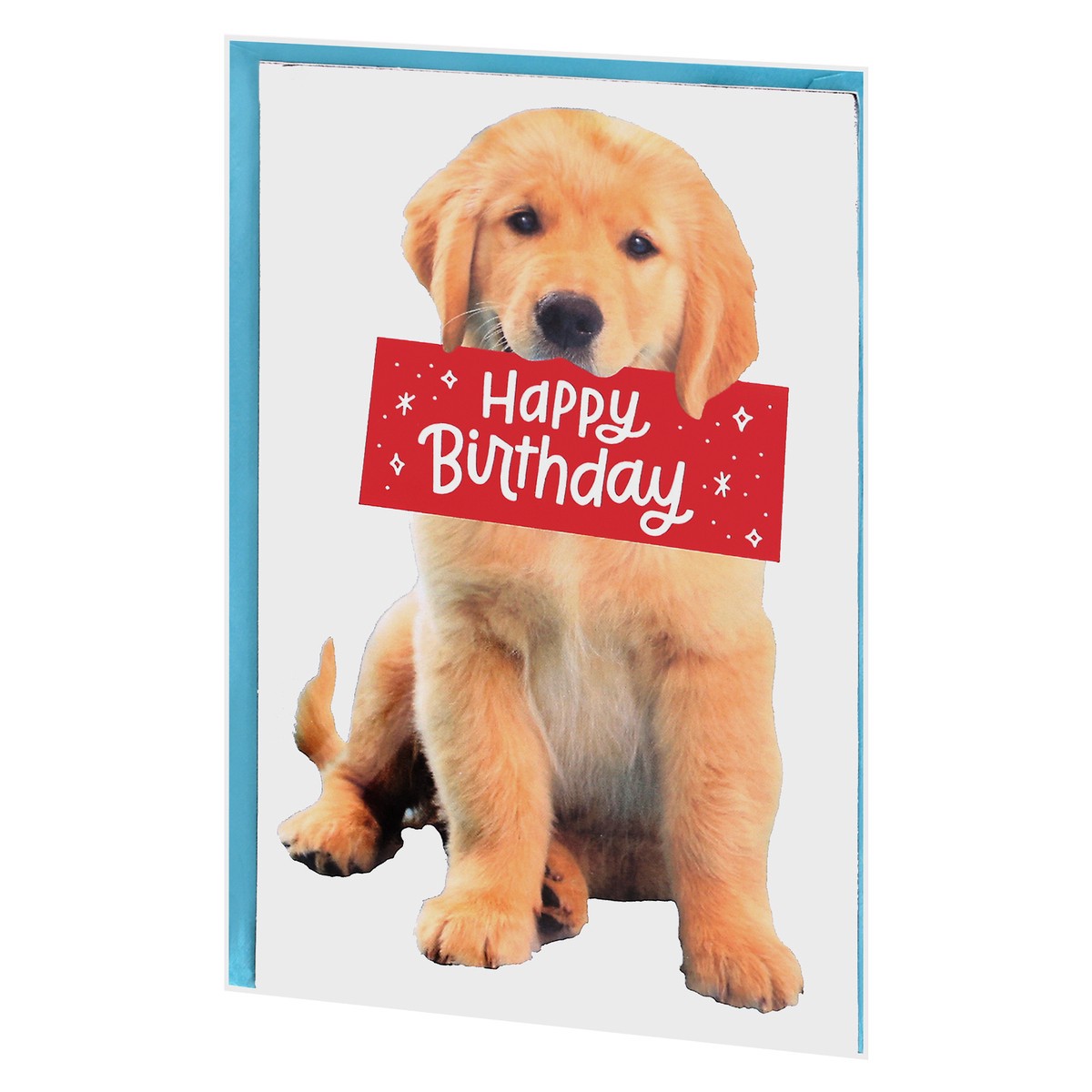 slide 4 of 9, Carlton Cards American Greetings Puppy Birthday Card, 1 ct