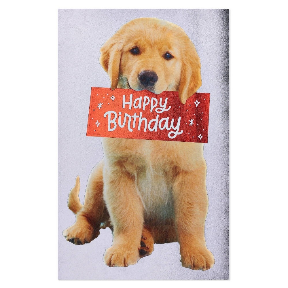 slide 4 of 5, American Greetings Puppy Birthday Card, 1 ct